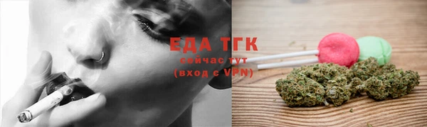 ECSTASY Богородицк